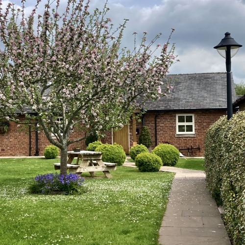 New Farm Bed and Breakfast