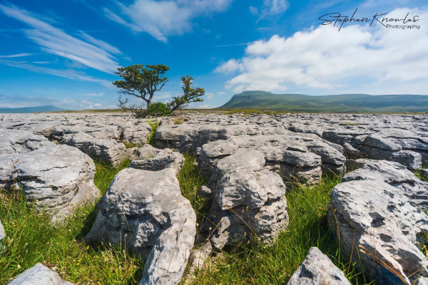 Yorkshire 3 Peaks and More - A blog by Harling House